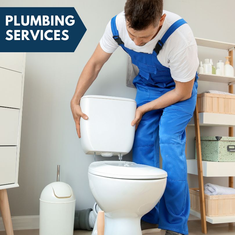 Plumbing Company in Matherville, IL